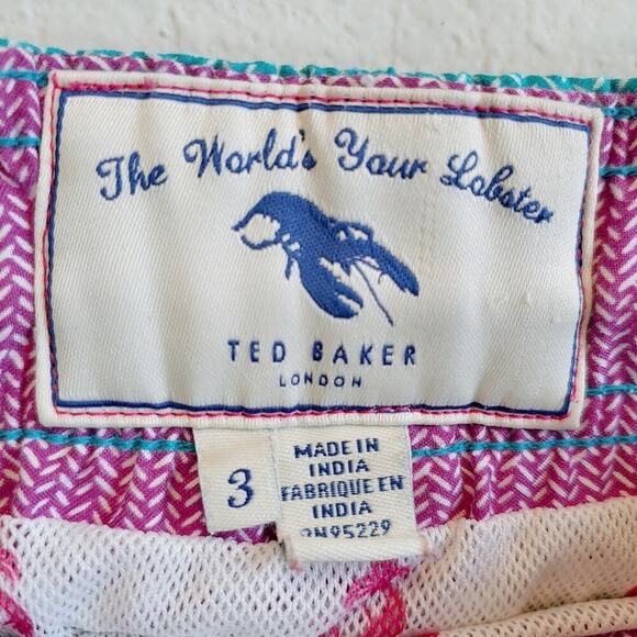 Ted Baker Men's Preppy Beach Vacation Chevron Swim Trunks Sz 3/Medium - Picture 6 of 9